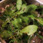 DSCN0443